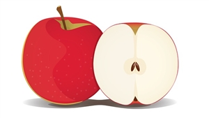 キャリアとは何か?|文部科学省は「キャリア」をどのように定義したのか?