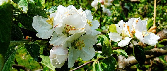 政治的行為の制限を違反したらどうなるか？｜ただじゃすまないのだ