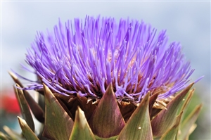 法令の第1条に書かれていることとは何か？（その２）