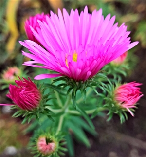 秘密を漏らしてはいけない公務員｜公務員の守秘義務とは？