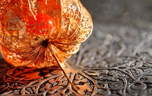 職員団体の交渉|職員団体と地方公共団体の紳士協定