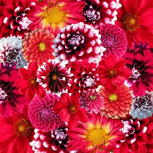 公務災害補償制度の特徴としくみ|制度のしくみはよく知っておくことが大切です。