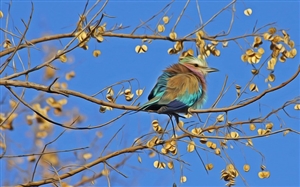 これからの時代が求めるカリキュラムの意味