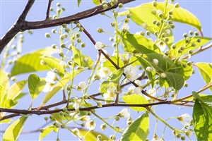 一斉形態でアクティブ・ラーニングは可能なのか