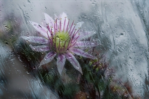 教員免許状の失効とは？｜こうならないように気をつけましょう