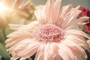 厚生制度のことをもう少し詳しく｜用語の意味をスッキリさせたい