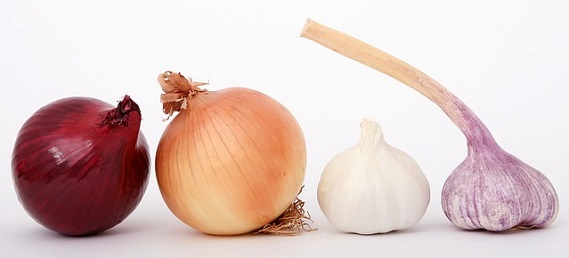 政治的行為とは何なのか？｜人事院規則14-7とは？