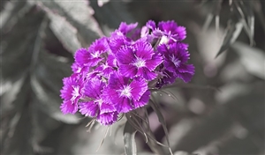 臨時的任用についてもっと詳しく調べてみた|臨時的任用・任期付採用・非常勤職員・臨時職員、どれが臨時的任用なのか?