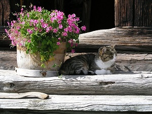 週休日と休日の違いとは？代休日とは？公務員の休日とは？休業日とは？ついでに祝祭日とは？