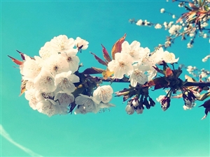 採用の方法とは？｜「競争試験」と「選考」とはどうちがうのか？