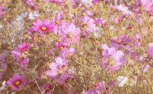 勤務条件に関する措置要求とは|地方公務員が認められている権利の1つ