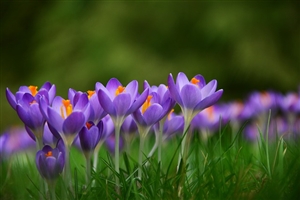 現在の公務員の状況はどのようになっているか。｜過去と比較してみる。