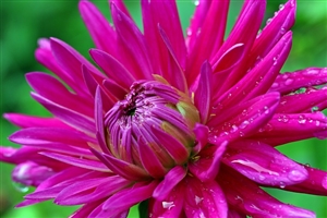 教育長とは何か？｜地教行法の改正でつくられた新「教育長」とはどんな人なのか？