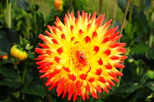 勤務条件に関する措置要求とは|地方公務員が認められている権利の1つ