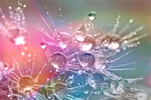 懲戒免職や分限免職による教員免許状の失効とは？