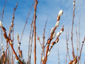学校管理職試験研修所｜教育法規超基礎講座