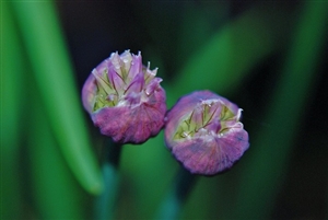 臨時的任用についてもっと詳しく調べてみた|臨時的任用・任期付採用・非常勤職員・臨時職員、どれが臨時的任用なのか?