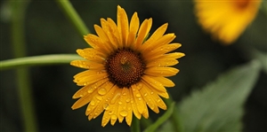 人事委員会の事務局と事務局職員とは?|地方公務員法第12条