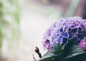 教育公務員の政治的行為の制限｜制限される範囲がちがうのです。