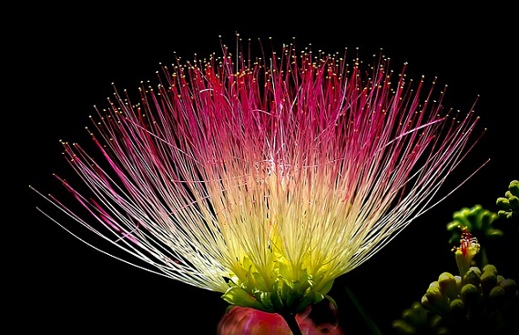 職務に専念する義務とは？｜専念していない職員がいるから法律で決めているのだろうか？