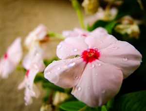 今年の予想問題｜面接の質問は？