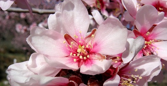 政治的行為とは何なのか？｜人事院規則14-7とは？