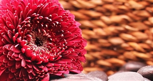 不利益処分とは何でしょうか|そもそも処分とは?その処分が不利益とはどういうこと?