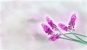 人事機関とは何でしょう？｜第2章　人事機関