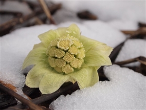 退職管理の適正の確保とは？｜何が良くて何がダメなのか？