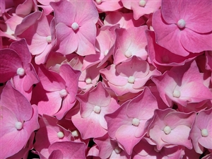 育児部分休業の給与の減額とは