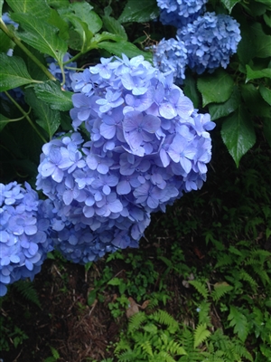 学校管理職試験の論文試験にはどんなものがあるのか