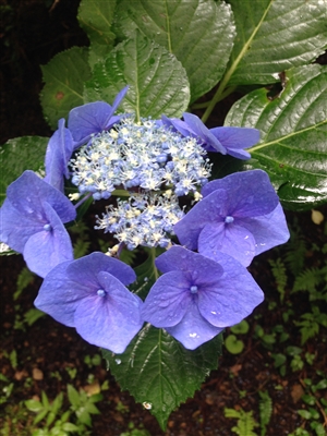 論文の本論は「柱」を立てて読みやすく｜柱とは何か？