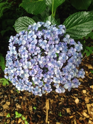 論文の本論は「柱」を立てて読みやすく｜柱とは何か？