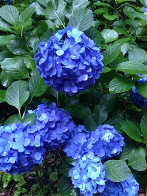 本論を書くときに立てる「柱」の具体的な例とは