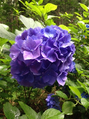 教育委員会とはいったい何なのか？｜教育委員会の法的根拠とは？