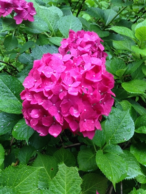 教育委員会とはいったい何なのか？｜教育委員会の法的根拠とは？