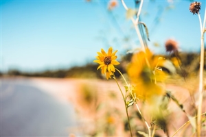 子どもが主役｜教師は自分の出番だと思ってはいけない。