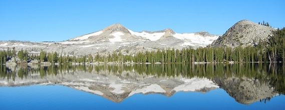 政治的行為の制限とは？｜教員ももちろん制限される？