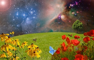 不利益処分とは何でしょうか|そもそも処分とは?その処分が不利益とはどういうこと?