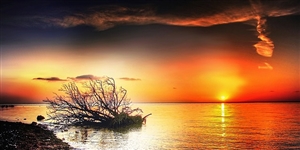 懲戒とは?|「懲戒」はなんのためにあるのか?