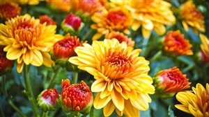 職員団体の効力の停止・職員団体の取消し|どんなときに取消しとなるのか