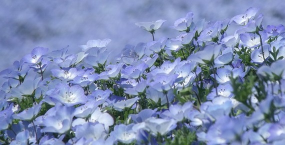 県費負担教職員とはいったい何なのか？｜あなたは県費負担教職員ですか？