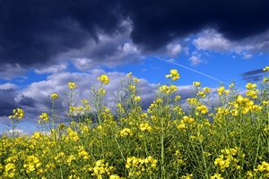 地方公務員の研修とは？｜教員の研修の違いは？