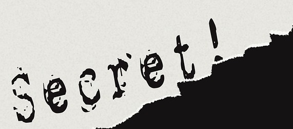 服務の義務にはどんなものがあるのか（２）｜身分上の義務とは？