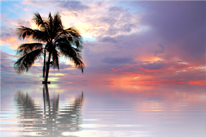 給料もらうなら絶対に知っておくべき給与支給の原則とは？給与支払い3原則とは？