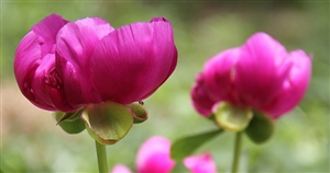 営利企業への従事等の制限とは、なにをどこまで制限するのか。｜公務員の営利活動は一切禁止なのか？