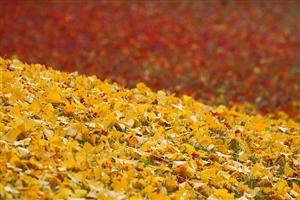 改正教育公務員特例法とは|新しいことは何か