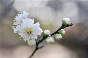 体罰に伴う法的責任とは｜教師が体罰を加えたらどんな責任が問われるのか？