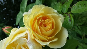 確かな学力とは？生きる力とは？